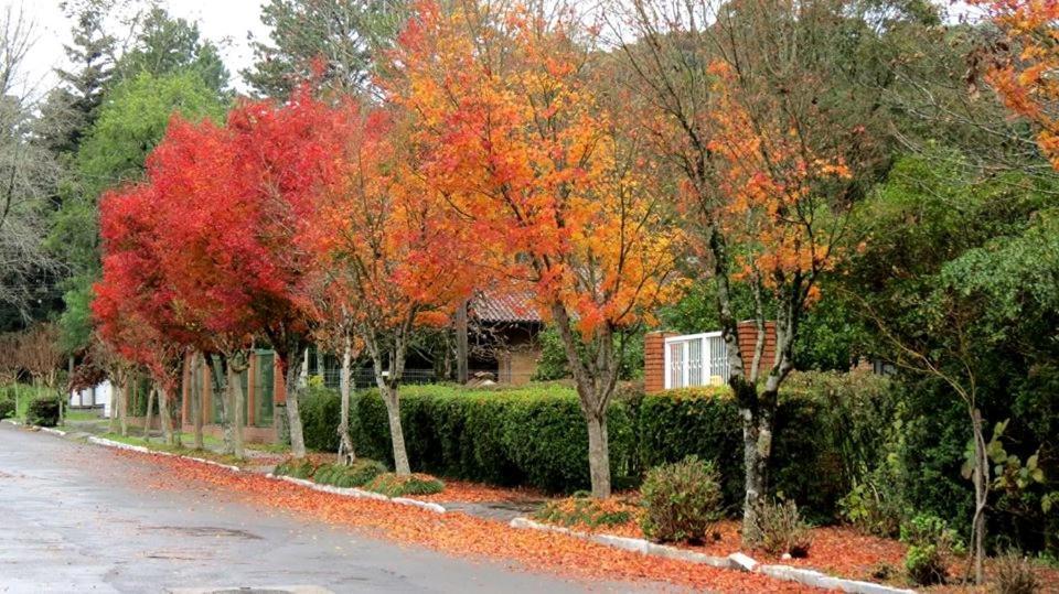 Apartamento Familia Sirangelo Gramado Exterior foto