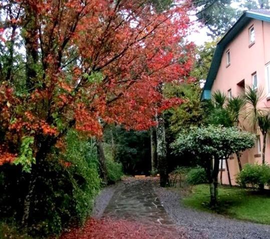 Apartamento Familia Sirangelo Gramado Exterior foto
